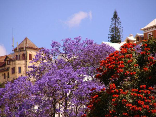 African postal operators commit to Lleida.net services