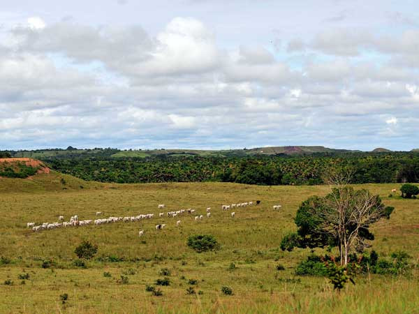 Satcom companies aid Colombian humanitarian mission