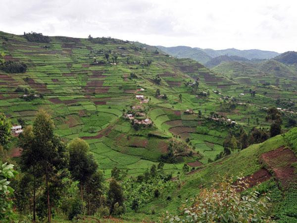 Mastercard and Ecobank offer digital boost to Africa’s smallholder farmers