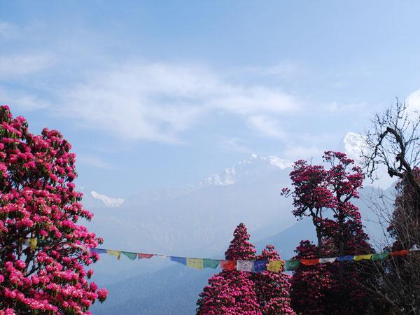 Another CDMA shutdown imminent as Nepal Telecom plans to ends its service