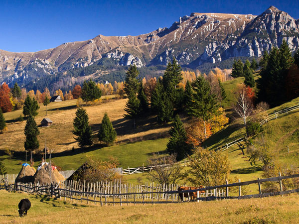 Vodafone Romania reveals scale of rural expansion