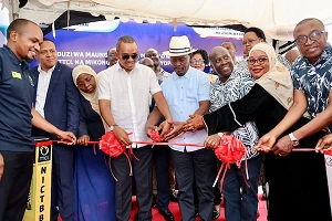 Tanzania and Kenya launch cross-border fibre link