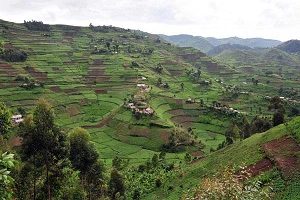 Starlink shuts down access to its satellite internet service in Uganda