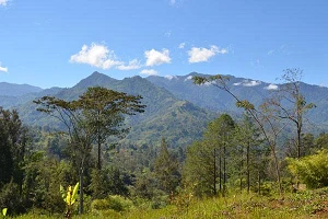 Papua New Guinea plans SIM card registration 