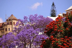 African postal operators commit to Lleida.net services