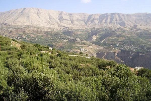 Lebanese government decides to manage the country's mobile networks