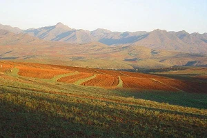 Nedbank and Mastercard to enhance digital payments across Southern Africa