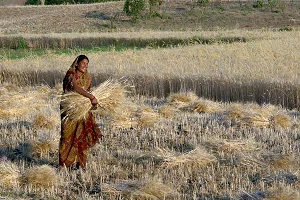 BSNL awards two more BharatNet contracts